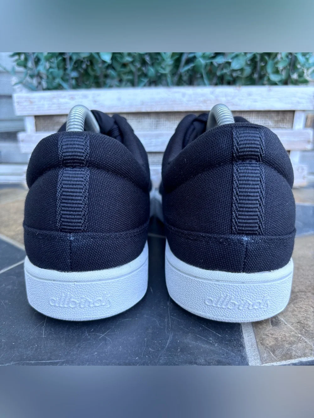 Allbirds Canvas Pacer Sneakers in Black